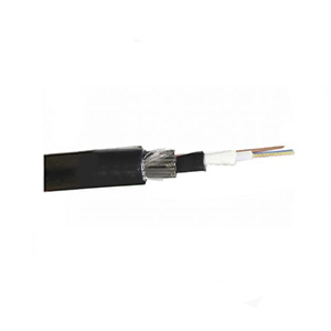 ProLink 24‑Core Single Armor Central Loose Tube Cable — OM3 Multimode 50/125, OD 10 mm