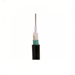 ProLink Double Armor Central Loose Tube Fiber Cable — 24‑Core OS2 (9/125 µm), OD ≈ 12.5 mm
